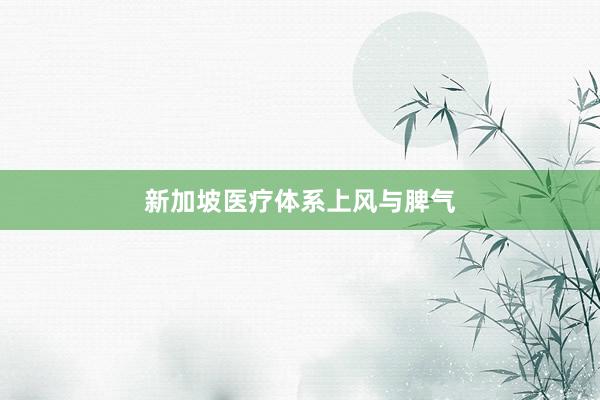 新加坡医疗体系上风与脾气